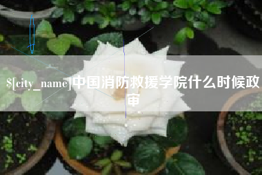 辽宁中国消防救援学院什么时候政审
