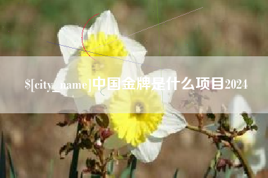 辽宁中国金牌是什么项目2024