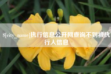 辽宁执行信息公开网查询不到被执行人信息