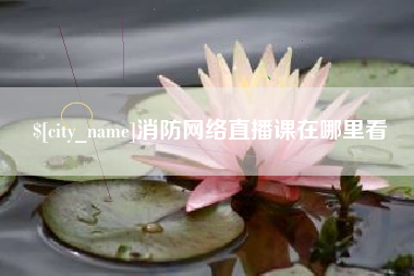 辽宁消防网络直播课在哪里看