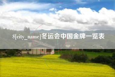 辽宁冬运会中国金牌一览表