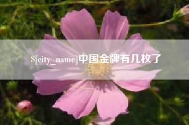 辽宁中国金牌有几枚了
