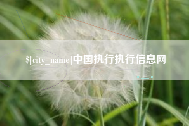 辽宁中国执行执行信息网