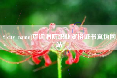 辽宁查询消防职业资格证书真伪网站