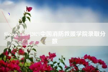 辽宁2021中国消防救援学院录取分数