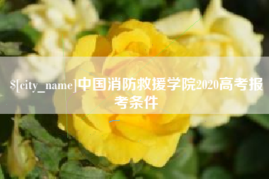 辽宁中国消防救援学院2020高考报考条件