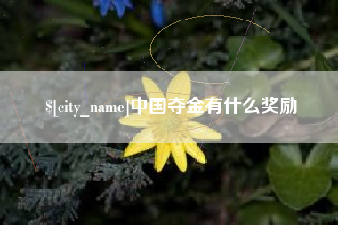 辽宁中国夺金有什么奖励