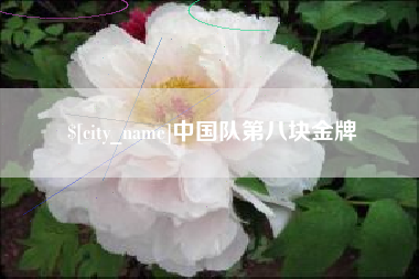 辽宁中国队第八块金牌