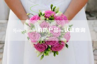 辽宁消防产品ccc认证查询