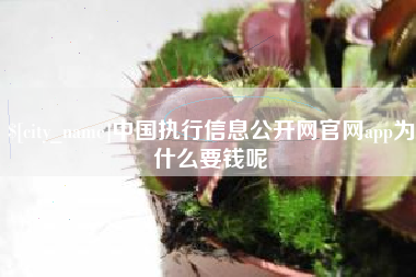 辽宁中国执行信息公开网官网app为什么要钱呢