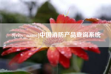 辽宁中国消防产品查询系统
