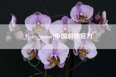 辽宁中国消防官方