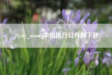 辽宁中国执行公开网下载