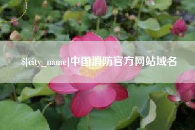 辽宁中国消防官方网站域名