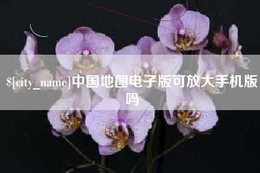 辽宁中国地图电子版可放大手机版吗