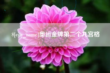 辽宁奥运金牌第二个九宫格