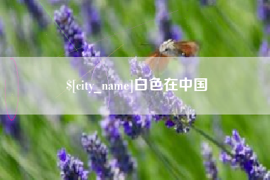 辽宁白色在中国