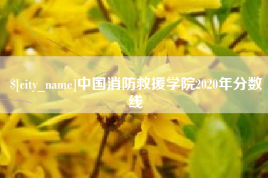 辽宁中国消防救援学院2020年分数线