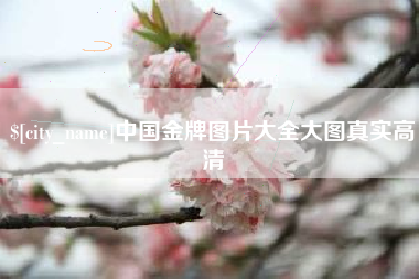 辽宁中国金牌图片大全大图真实高清