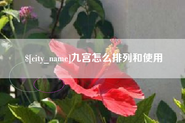 辽宁九宫怎么排列和使用
