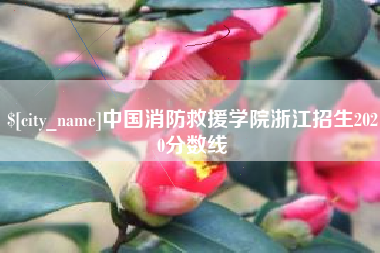 辽宁中国消防救援学院浙江招生2020分数线