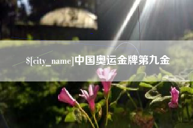 辽宁中国奥运金牌第九金