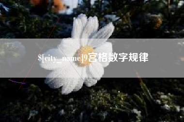 辽宁9宫格数字规律