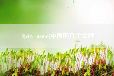 辽宁中国的几个金牌