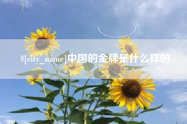 辽宁中国的金牌是什么样的