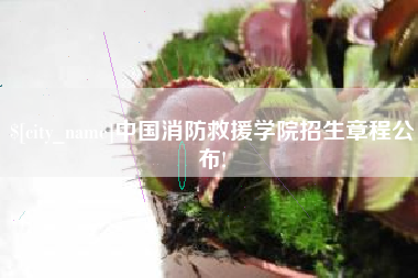 辽宁中国消防救援学院招生章程公布!
