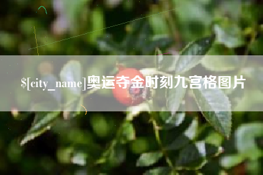 辽宁奥运夺金时刻九宫格图片