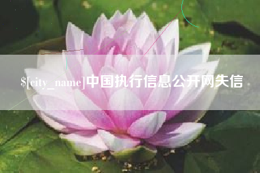 辽宁中国执行信息公开网失信