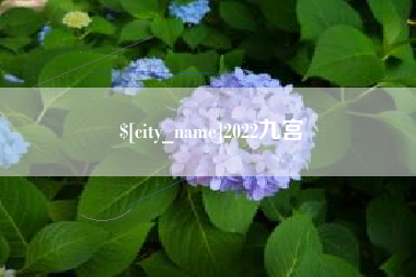 辽宁2022九宫