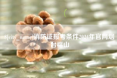 辽宁消防证报考条件2024年官网烟台福山