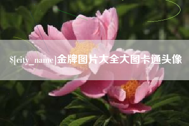 辽宁金牌图片大全大图卡通头像