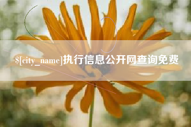 辽宁执行信息公开网查询免费