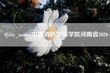 辽宁中国消防救援学院河南省2020